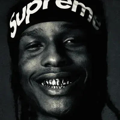 LonelyLynx5145의 asap rocky