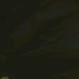 Profile image of 박성운