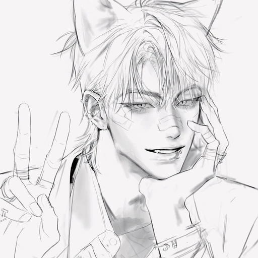 배도규