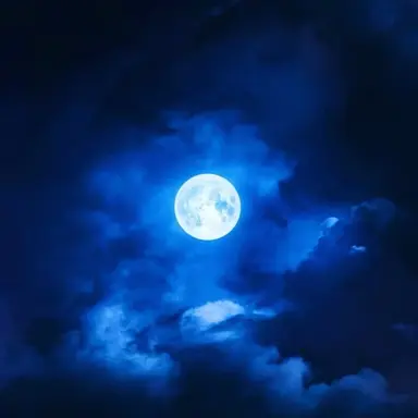 Profile image of SH