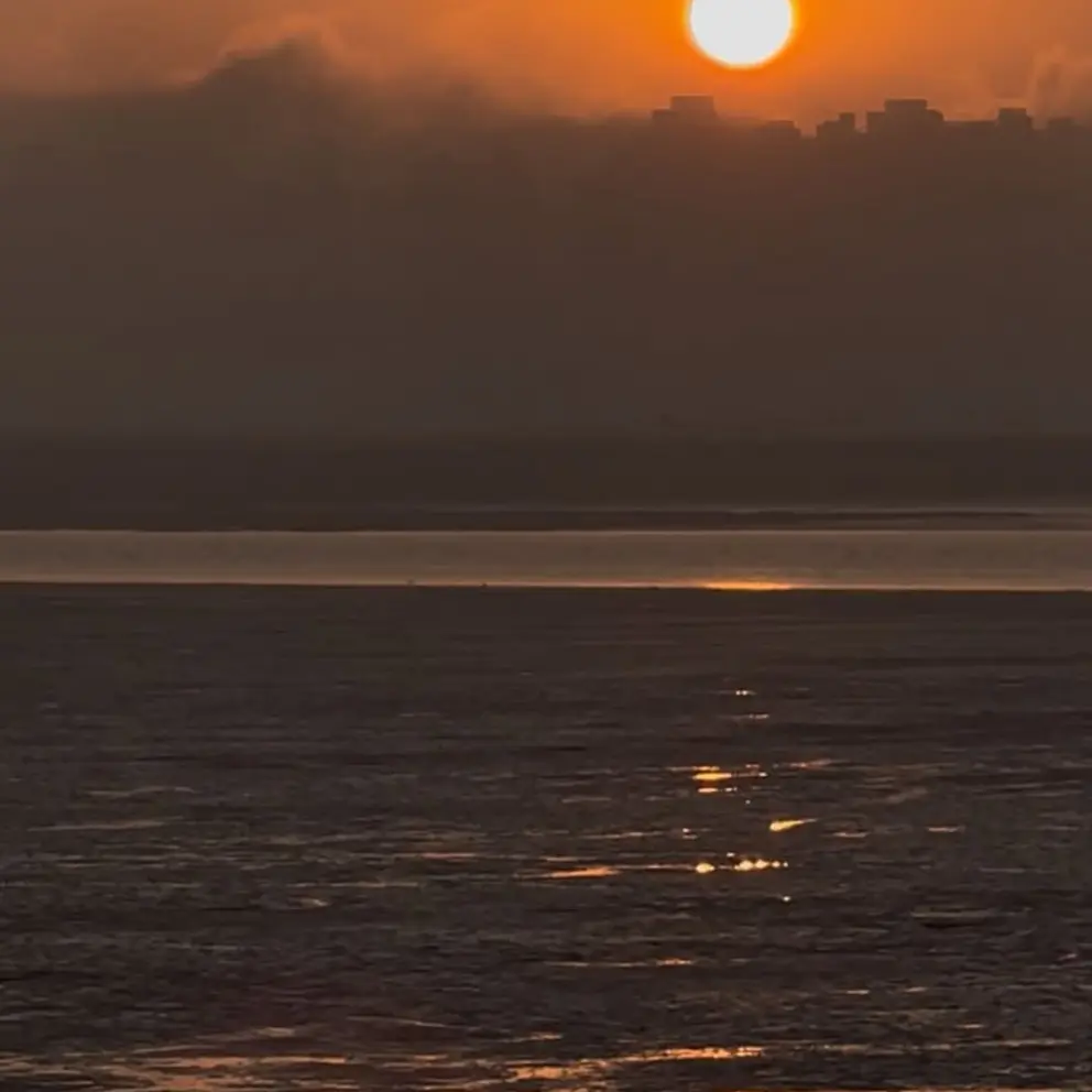 Hsjndjs의 김규년