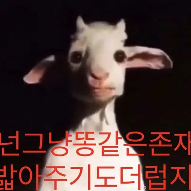 Profile image of 늑대