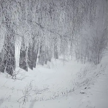 Kelt의 겨울