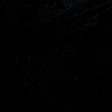 Profile image of User