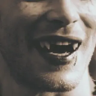 Profile image of Niklaus