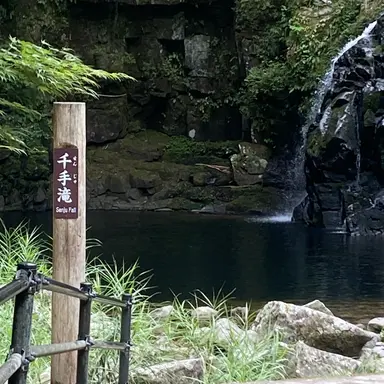 Profile image of 礼王