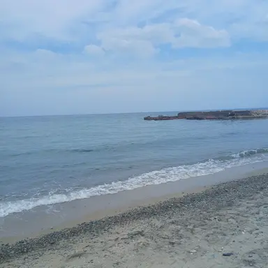 Profile image of 준브레드
