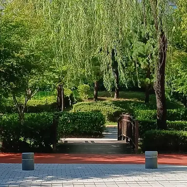 Profile image of 밥풀