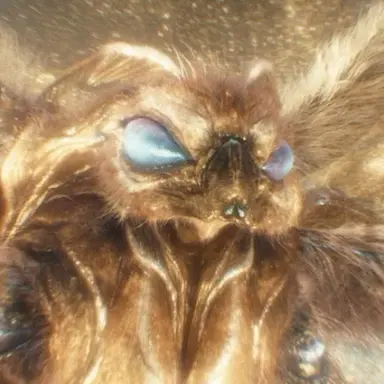 Profile image of 모스라