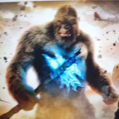 Profile image of 콩