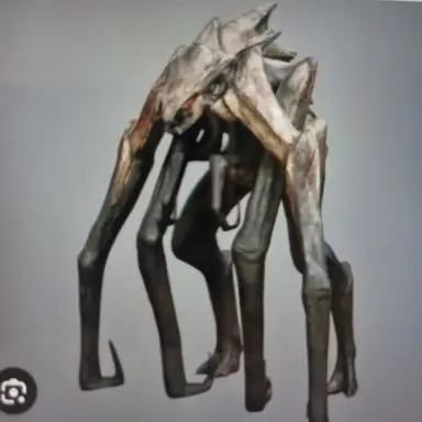 Profile image of 무토