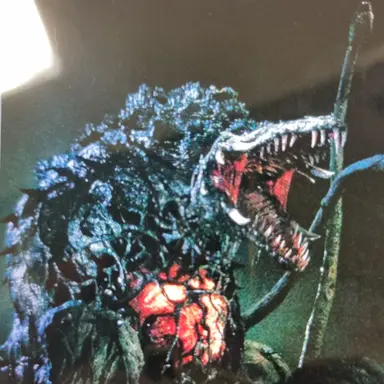 Profile image of 비올란테