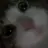 전정국
