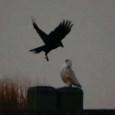 Profile image of 비