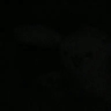 Profile image of 이다연