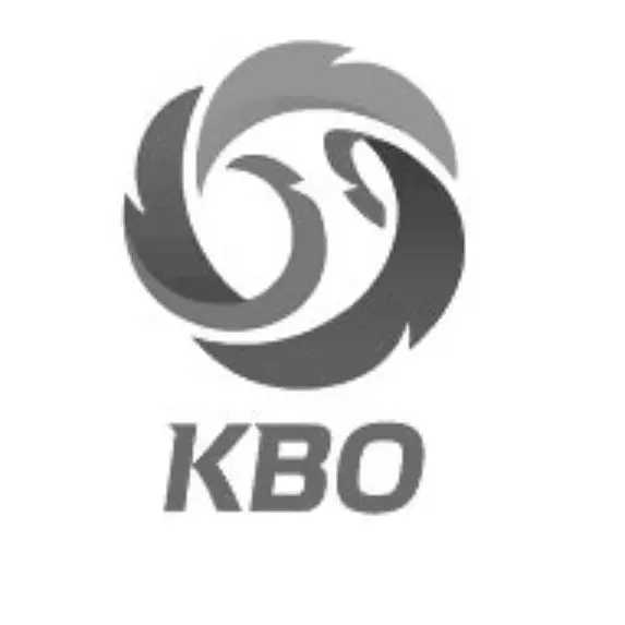 11046402의 kbo선수되보기