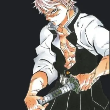 Profile image of 시나즈가와 사네미