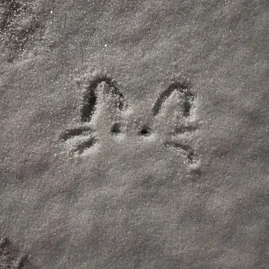 Profile image of 장규진