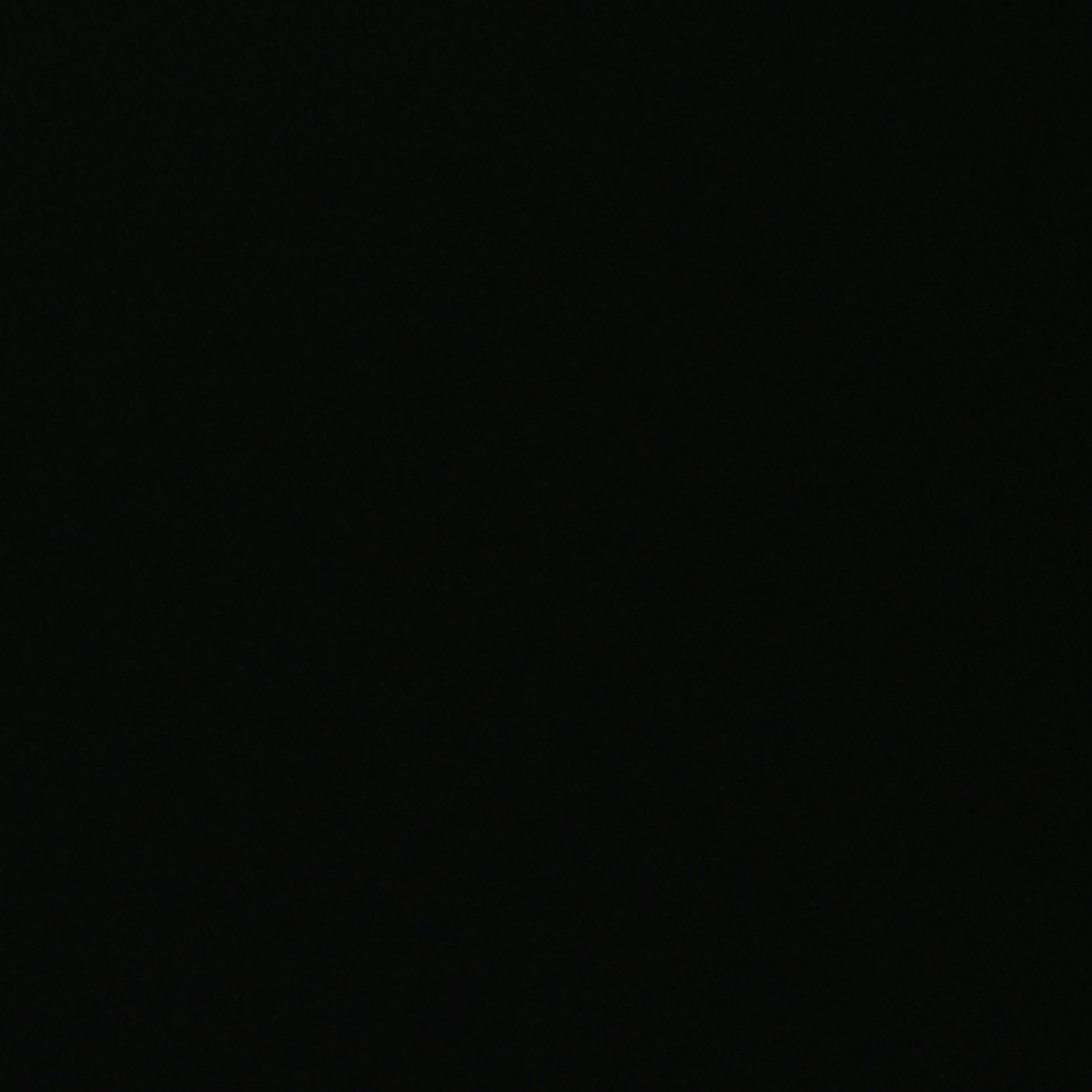 김동현