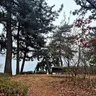 Profile image of 소상택