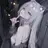 ヒサ