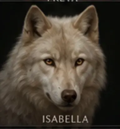 Profile image of Isabella