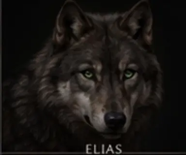 Profile image of Elias