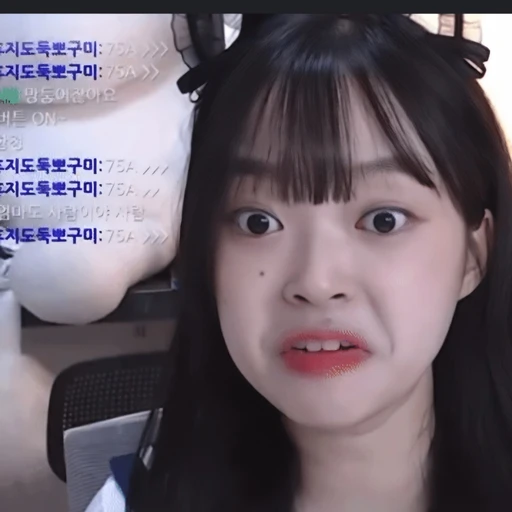 뽀구미 방송인