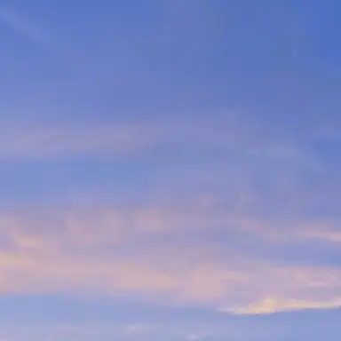 Profile image of 尾浜勘右衛門