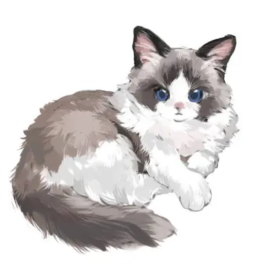 Profile image of Sere