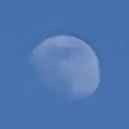 Profile image of 유유