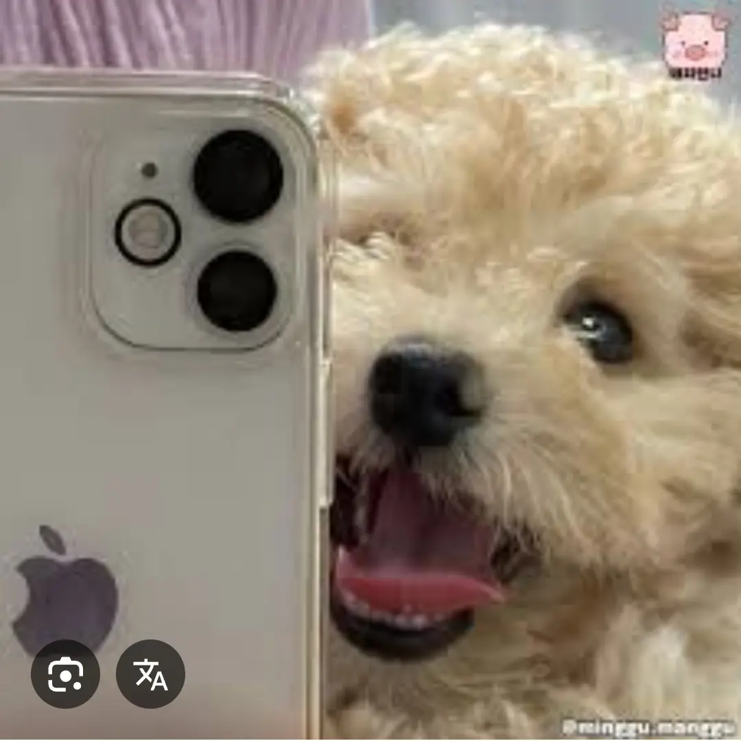 CostlyWage8693의 케이팝 데몬헌터스