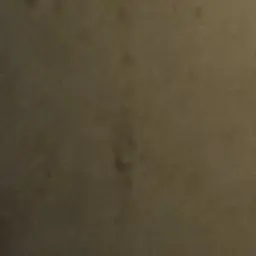 Profile image of 준브래드