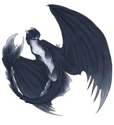 Profile image of Solstice