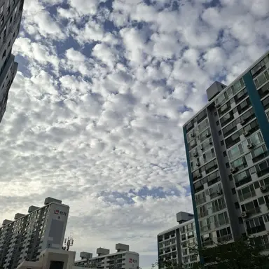 Profile image of 미스터리 수사반