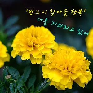 SmugCliff5415의 귀멸학원!_