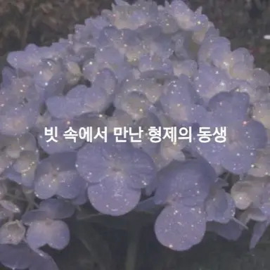 Profile image of 동생
