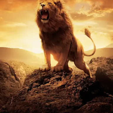 Profile image of Aslan