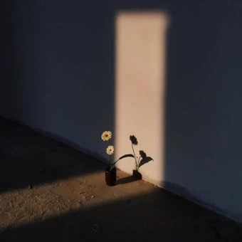 정형준