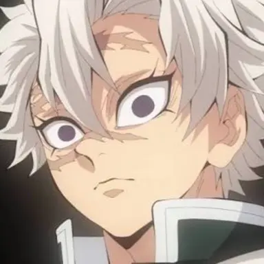 Profile image of 시나즈가와 사네미