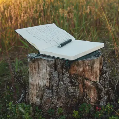 Profile image of 천산호