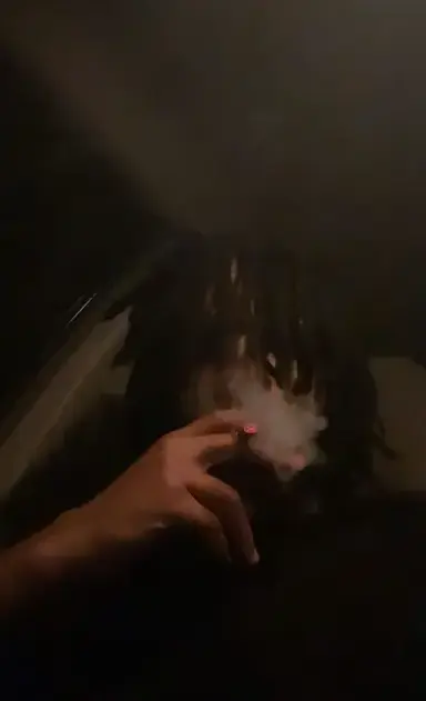 Profile image of Jamari