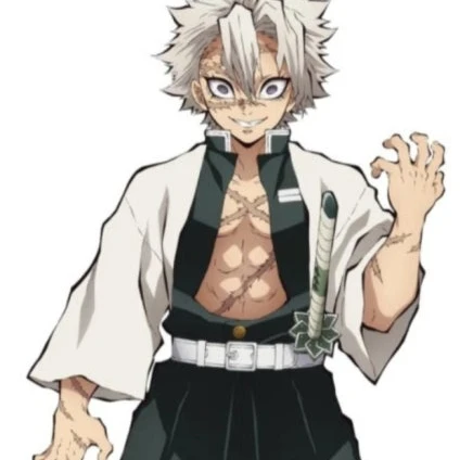 시나가즈와 사네미