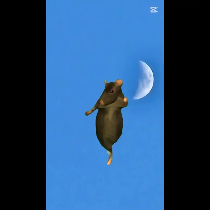 wjfwuwhwgwhw의 쥐 댄스