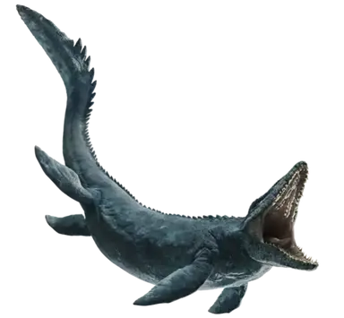 Profile image of 모사사우루스
