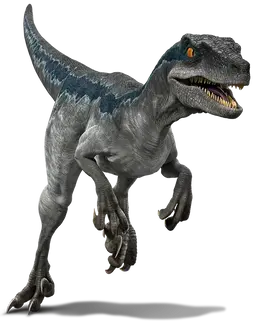 Profile image of 벨로시랩터 블루
