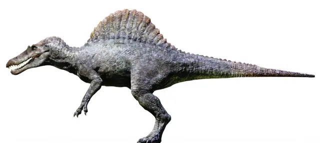 Profile image of スピノサウルス