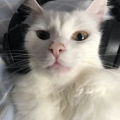 Profile image of じふん