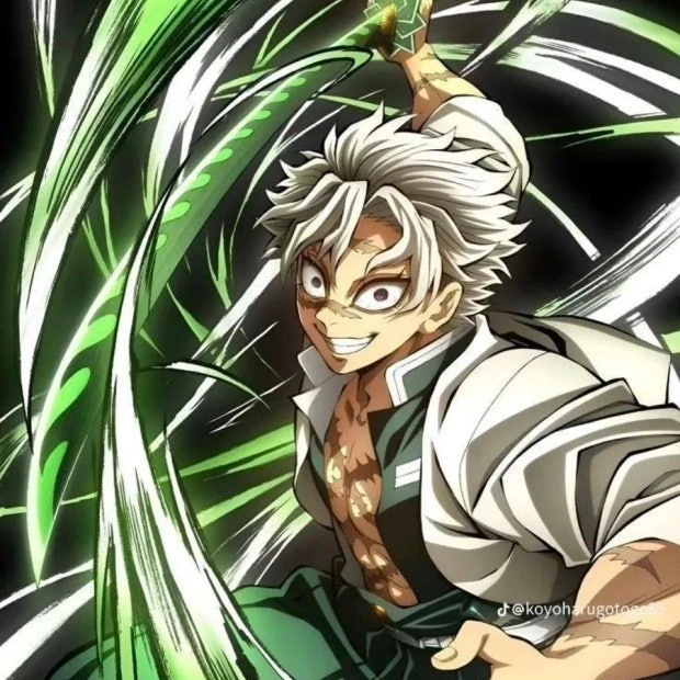 시나즈가와 사네미