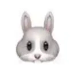 Profile image of 아지로 세이토